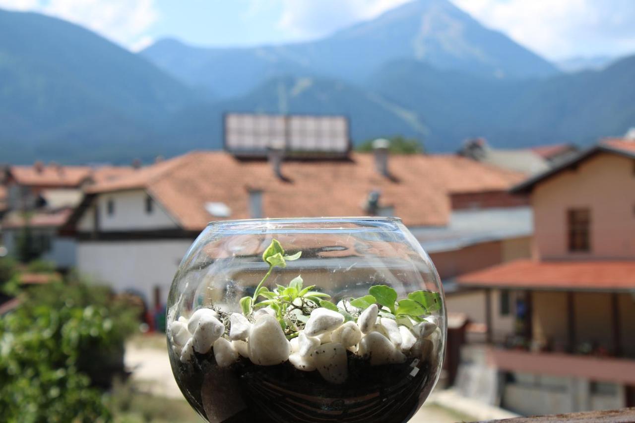 North Star Hotell Bansko Eksteriør bilde