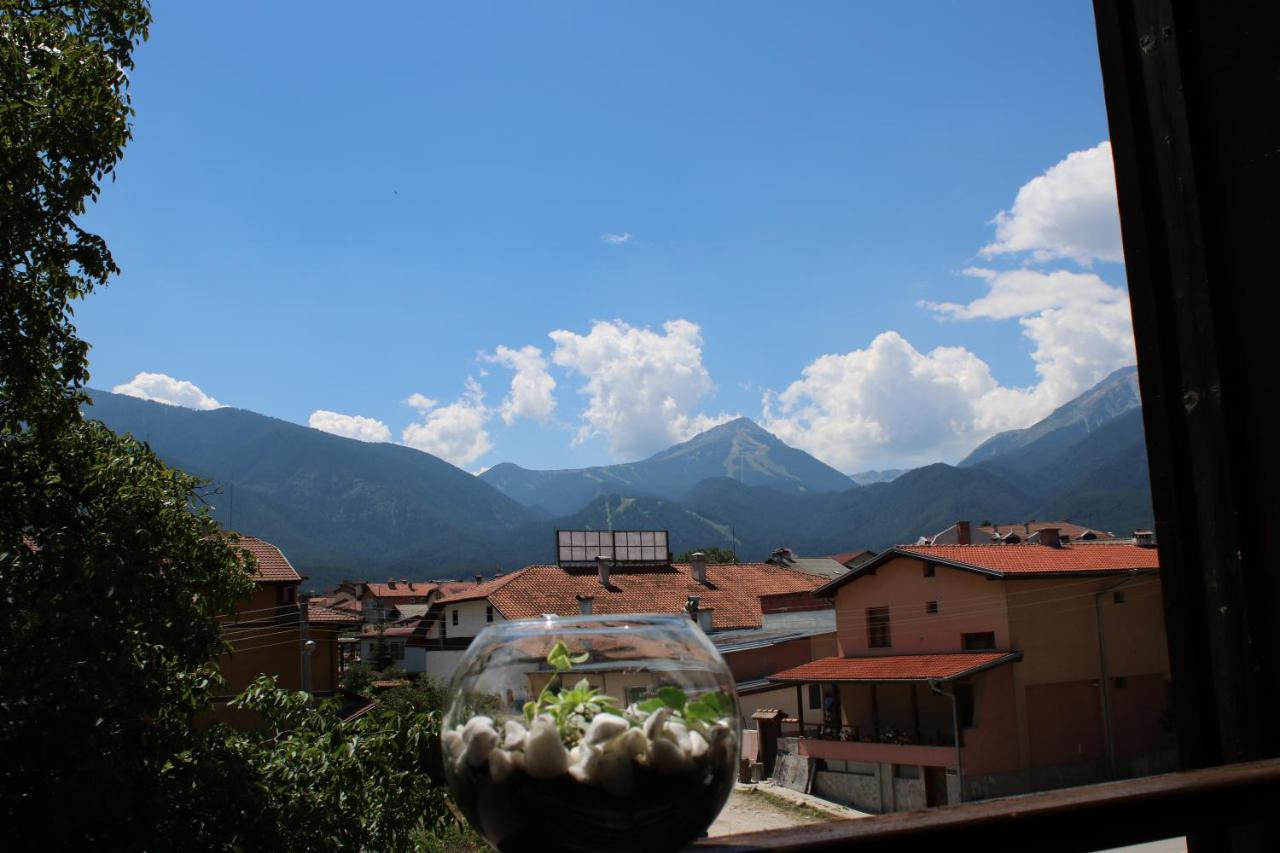 North Star Hotell Bansko Eksteriør bilde